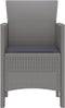 vidaXL - Tuinmeubels - met - Kussens - 4 - stuks - Lichtgrijs - Poly - Rattan