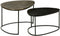 StarFurn Salontafel Set van 2 Jarrel Aluminium
