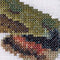 Thea Gouverneur - Borduurpakket met telpatroon - 565A - Voorgesorteerde DMC Garens - Wolfsmelkpijlstaart Vlinder - Aida - 21 cm x 21 cm - DIY Kit