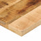 vidaXL - Tafelblad - rechthoekig - 100x30x3,8 - cm - massief - ruw - mangohout