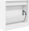 Schoenenkast 60x21x57 cm bewerkt hout wit