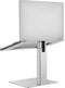Gembird NBS-D1-02 - Laptopstandaard - Verstelbare hoogte en goede ventilatie - Zilver