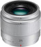Panasonic Lumix G 25mm f/1.7 ASPH - Prime groothoeklens - Lichtsterk voor natuur en straatfotografie