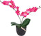 vidaXL - Kunstplant - orchidee - met - pot - 65 - cm - roze