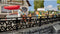 NOCH 14209 H0 Hekassortiment Bouwpakket