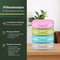 Gandria Pillendoosjes Set van 4 - Medicijndoos 12 Compartimenten - Bio-Graanvezel Waterbestendig (set van 4)