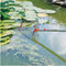 WOLF-Garten MultiStar® WK-M - Schepnet 35x30 cm - Geschikt voor vijver en zwembad