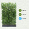 Hedera Hibernica - Klimop - Kant-en-Klaar Haag | 120cm - ↨150 cm
