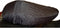 Friesche Vlag Completa koffiecreamer | pot van 200 g