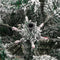 vidaXL - Kunstkerstboom - met - scharnieren - en - sneeuw - 150 - cm