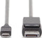 Assmann AK-300333-020-S - USB-C naar DisplayPort Adapterkabel - 4K/60 Hz - Zwart (2,0 m)