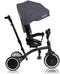 Lionelo Tris Plus - Driewieler - 2-in-1 tot 5 jaar - 360° draaibare zitting - Grey Stone