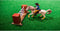 Kids Globe Kunstgras 70x50cm