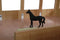 Kids Globe Luxe Paardenstal 1:32