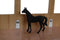 Kids Globe Luxe Paardenstal 1:32