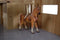 Kids Globe Luxe Paardenstal 1:32