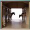 Kids Globe Paardenstal met 7 boxen, 1:24