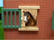 Kids Globe Paardenstal met 7 boxen, 1:24