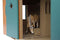 Kids Globe Paardenstal met 7 boxen, 1:24