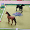 Kids Globe Speelkleed Paarden Manege XXL