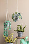 KidsDepot Hangplant Hedera Felix Vilt
