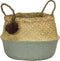 KidsDepot - PomPom Mand Zeegras - Manden - Groen