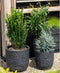 Capi Europe - Bloempot bol Row NL - 35x34 - Antraciet - Opening Ø29 - Bloempot voor binnen en buiten - Levenslang garantie - Breukbestendig - 100% Recyclebaar - CO2 Neutraal geproduceerd - KRWZ932