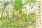 Kijk- en zoekboek - In het bos