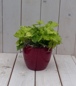 Kindje op moeders schoot in rode pot 25 cm