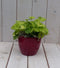 Kindje op moeders schoot in rode pot 25 cm