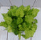 Kindje op moeders schoot in rode pot 25 cm