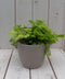 Kindje op moeders schoot in taupe pot 25 cm