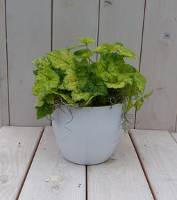 Kindje op moeders schoot witte pot 25 cm