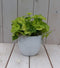 Kindje op moeders schoot witte pot 25 cm