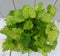 Kindje op moeders schoot witte pot 25 cm