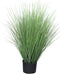 King festuca green in pot 76 cm kunstbloem
