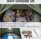 KingCamp Camping Tent 2 Man - Lichtgewicht - Waterproof - Eenvoudige Opzet - Voor Familie en Reizen