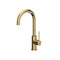 Kitchen mixer QUADRON JODIE (3623511_PVDG1)