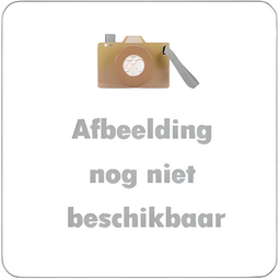 Little Dutch ringstapelaar leeuw LD8322