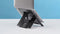 R-Go Tools Riser - Laptopstandaard - Verstelbaar in 5 standen - Zwart