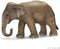 schleich WILD LIFE - Aziatische olifantenkoe - Speelfiguur - Kinderspeelgoed voor Jongens en Meisjes - 3 tot 8 jaar - 14753