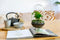 Growing Concepts DIY Duurzaam Ecosysteem Egg Large - Planten - Asparagus - H30xØ18cm