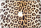 Lunso Geschikt voor MacBook Pro 13 inch (2016-2020) vinyl sticker - Leopard Brown