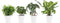 Combibox hippe kamerplanten in Anne White keramiek – ↨ 25cm – ⌀ 12cm