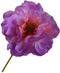 Klaproos steel lavendel rt 73 cm Silk-Ka