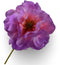Klaproos steel lavendel rt 73 cm Silk-Ka