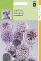2 stuks Hortitops Echinops Ritro Kogeldistel
