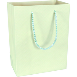 Klika - Tas | Papier | embossed | 18x 10x23cm | draagtas | pastelgroen | 10 stuks