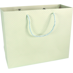 Klika - Tas | Papier | embossed | 31x 12x26cm | draagtas | pastelgroen | 10 stuks