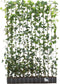Klimophaag haagelement Hedera Hibernica 180 cm